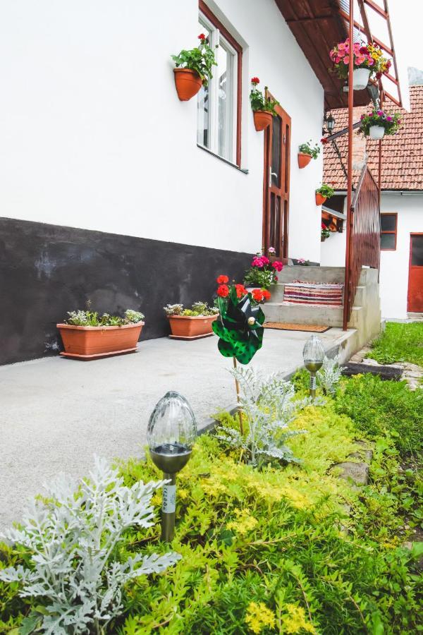 Casa De Vacanta Harsfa Vendeghaz Rimetea Bagian luar foto