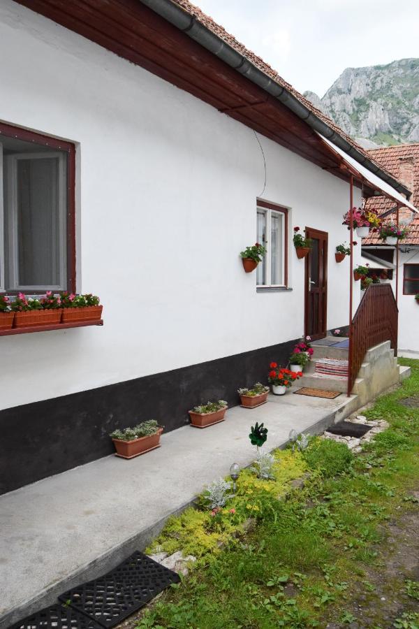 Casa De Vacanta Harsfa Vendeghaz Rimetea Bagian luar foto